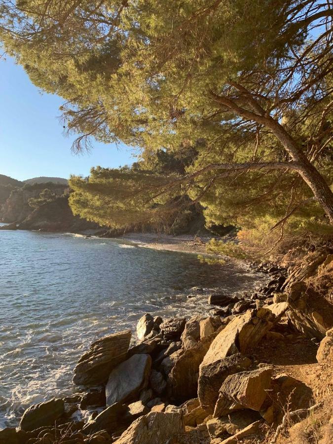 Villa Cavalaire Sur Mer Esterno foto